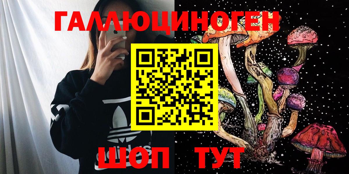 Псилоцибиновые грибы Psilocybine cubensis Строитель