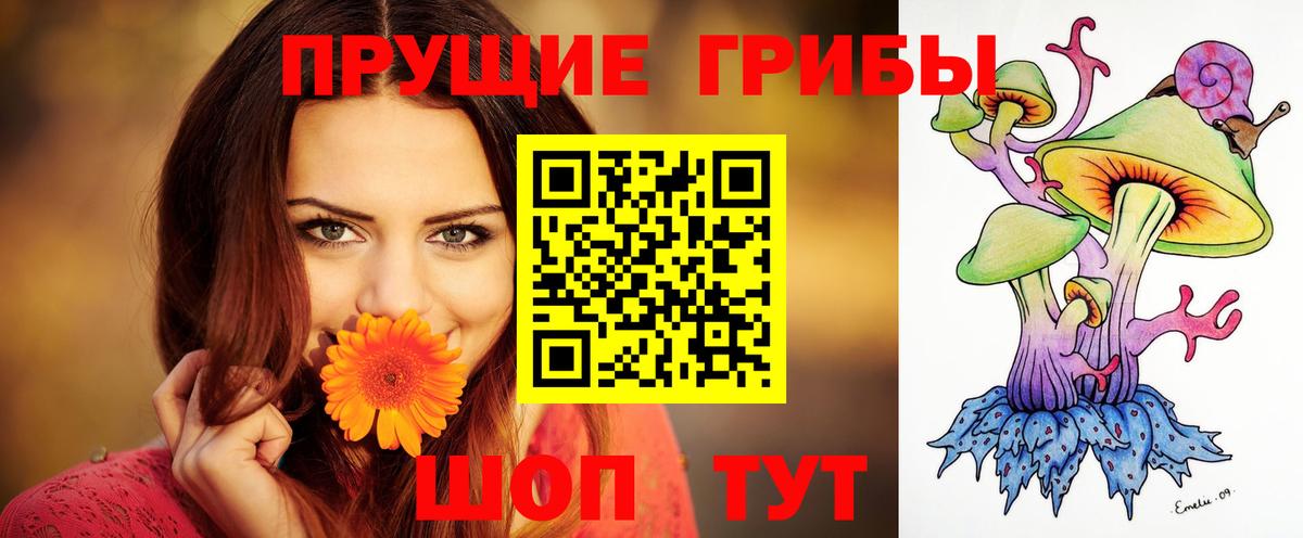 Галлюциногенные грибы Magic Shrooms  где купить   Строитель  Вход с VPN 